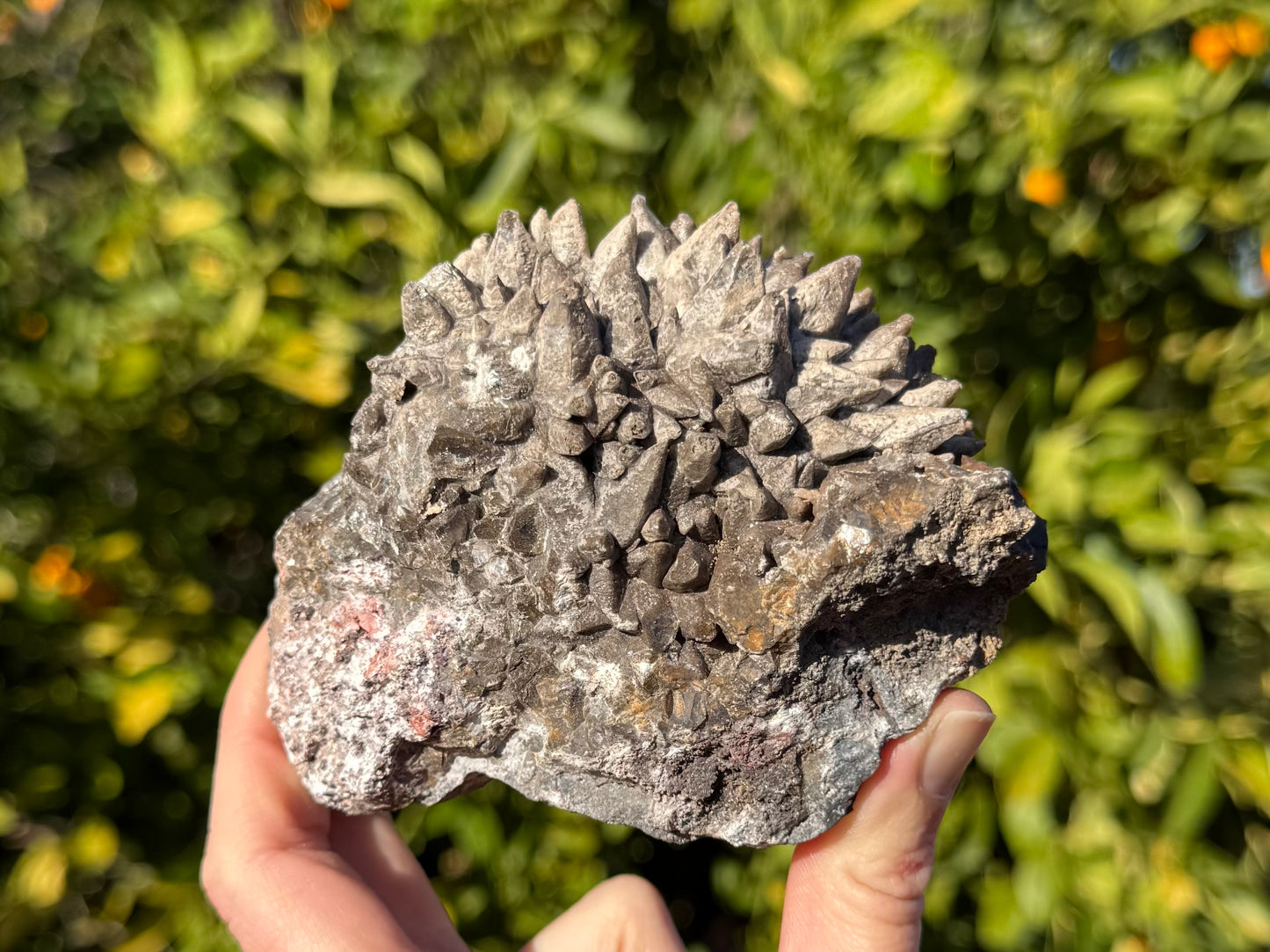 Side view of the specimen, a large round form covered with dogtooth calcite points, on a rock matrix.