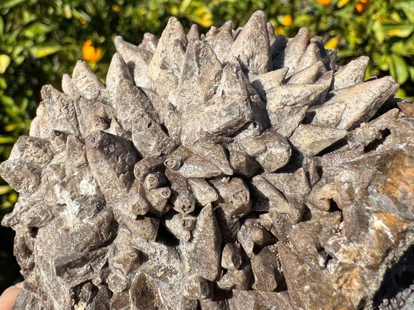 Detail of points on the piece with tips hollowed by etching.