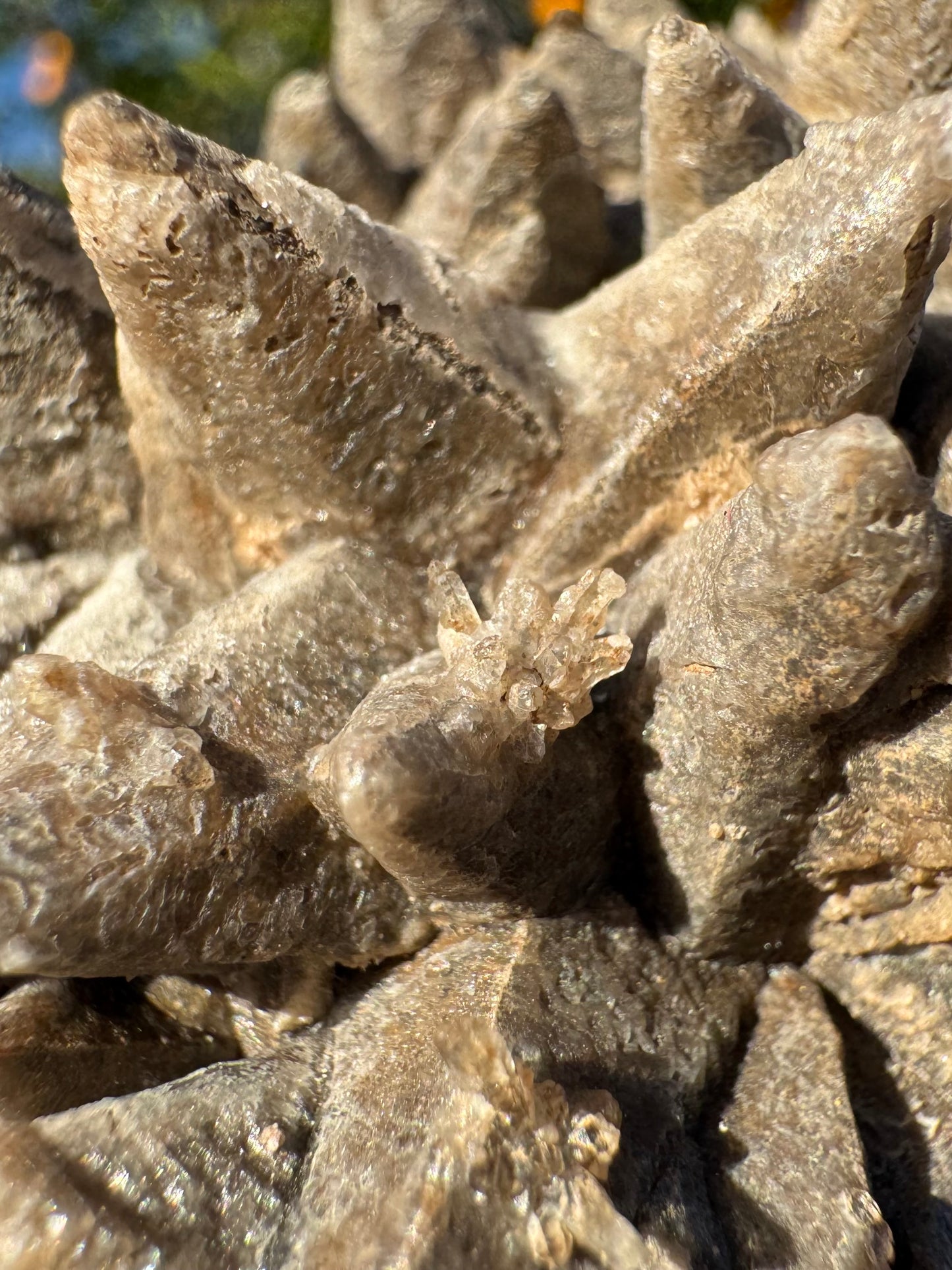 Detail of a small quartz cluster on the side of one of the calcite points. The quartz isn't super well-formed, somewhat lumpy. Above on a calcite point, there is a gap in the light-colored overgrowth along the edge where two faces meet