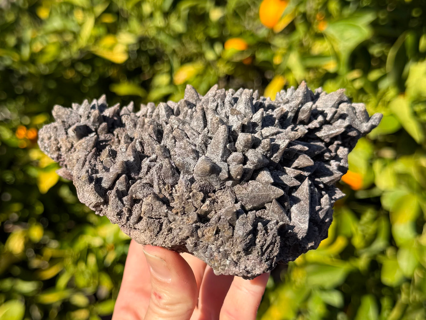 Angled view of the specimen, a thin plate of calcite crystals, the top surface covered with well-formed spiky points. The edge is rough with several broken crystals.