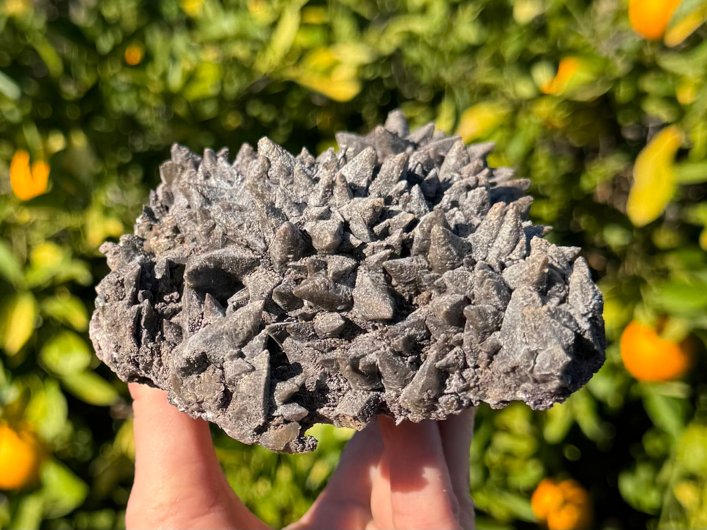 Side-view of the specimen, showing the piece has good even composition from multiple angles. Some of the faces on calcite points are smoother, others more rough.