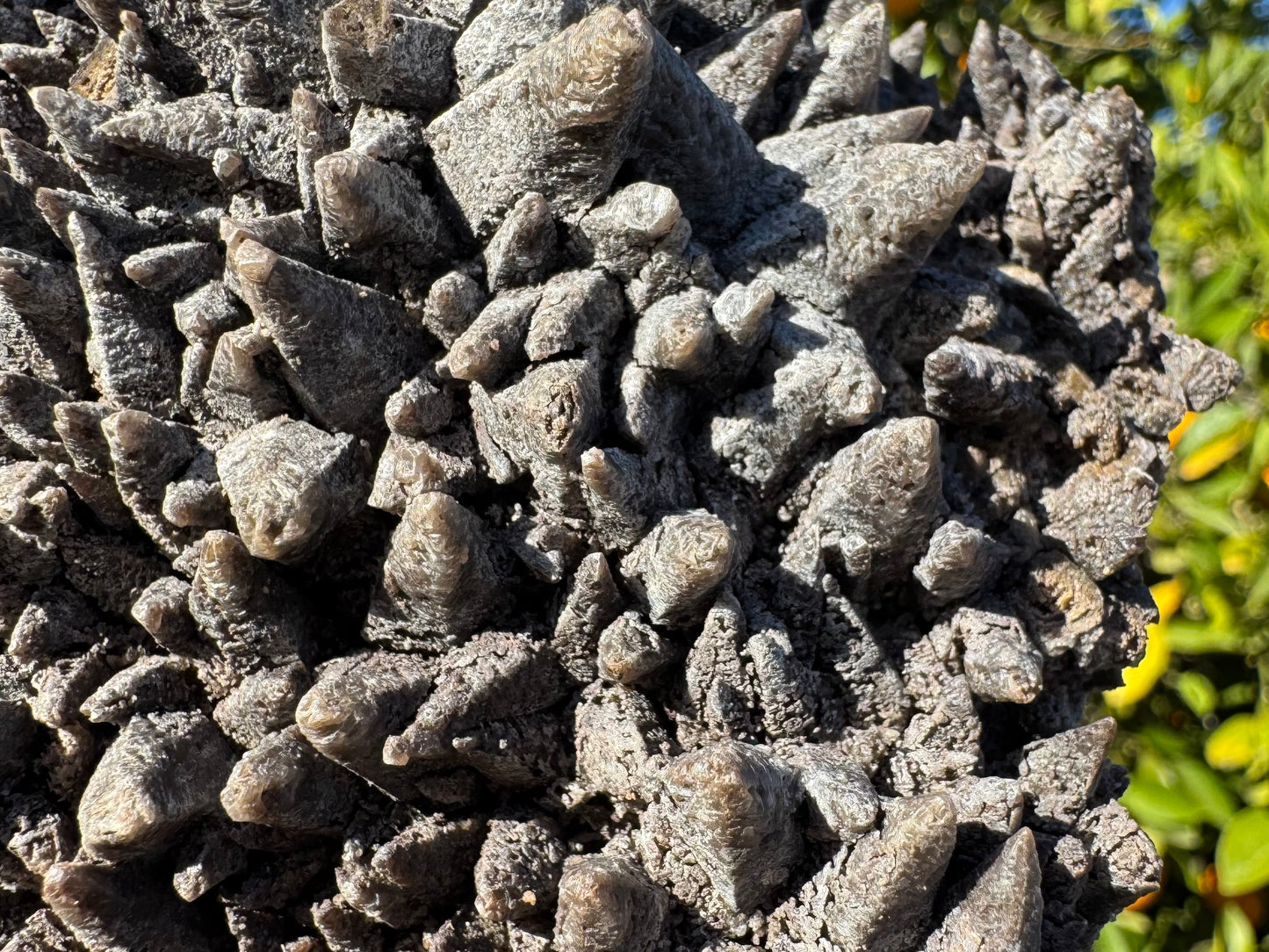 Detail of the surface in an area where the overgrowth seems thick and translucent on the tips of points. Points are well-formed, with rough surface.