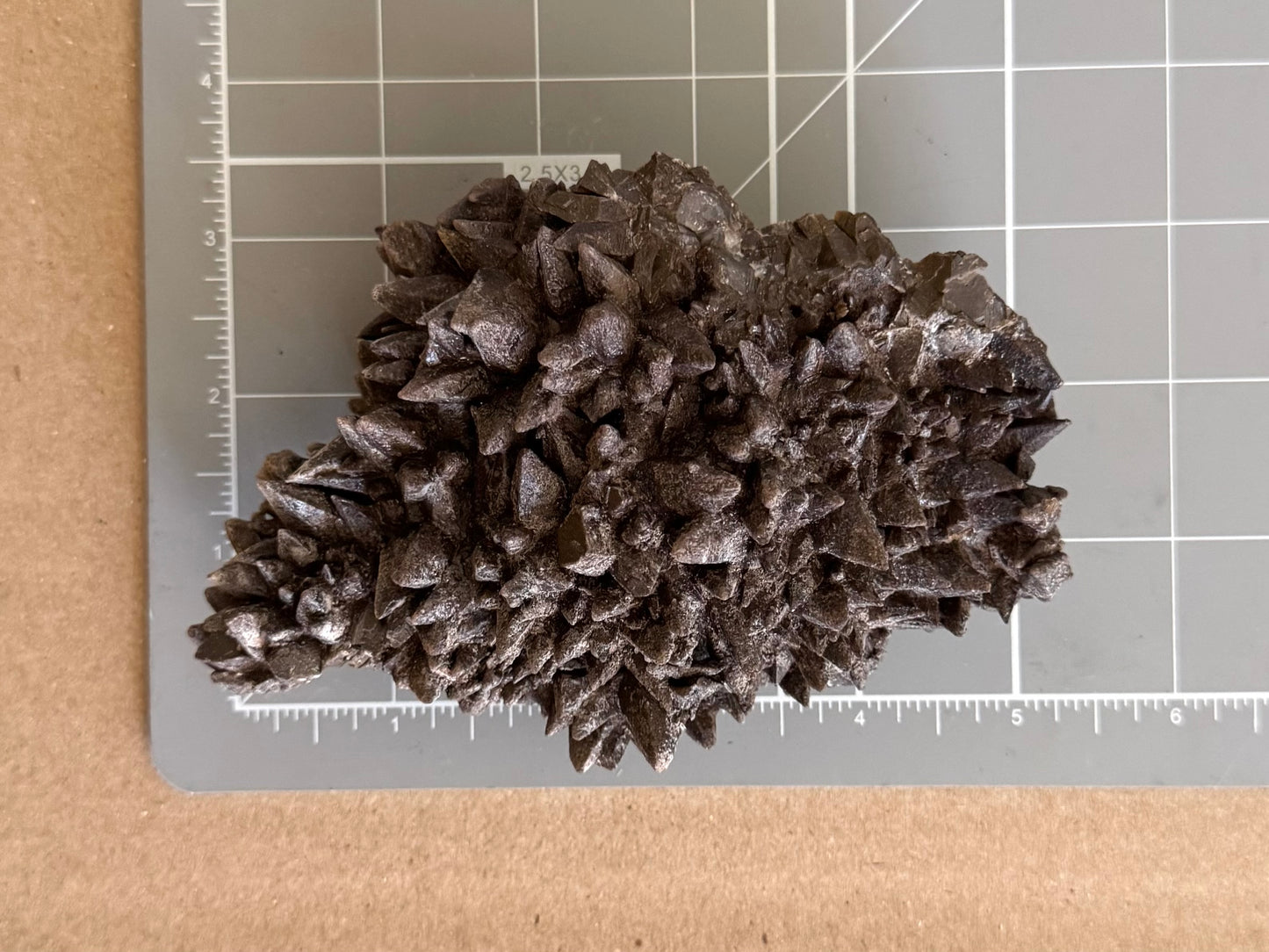 Scale image of the specimen on a measuring mat, measuring about five inches long and three inches wide