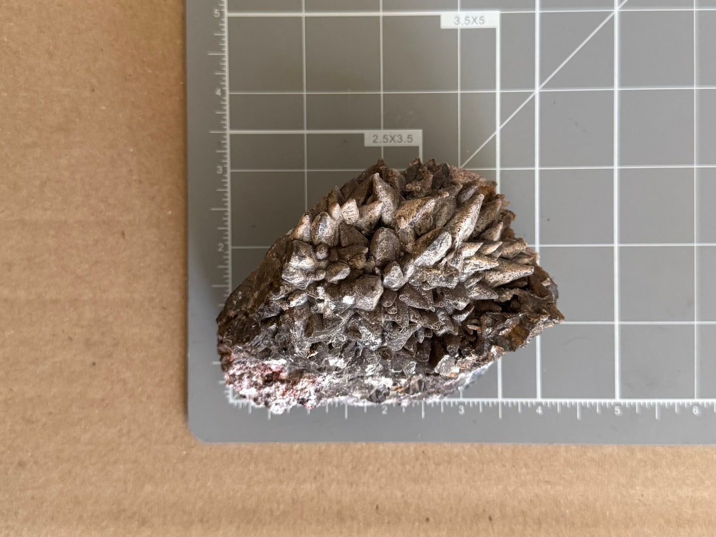 Scale image of the specimen on a measuring mat, measuring almost four inches long and about two and a quarter inches wide.