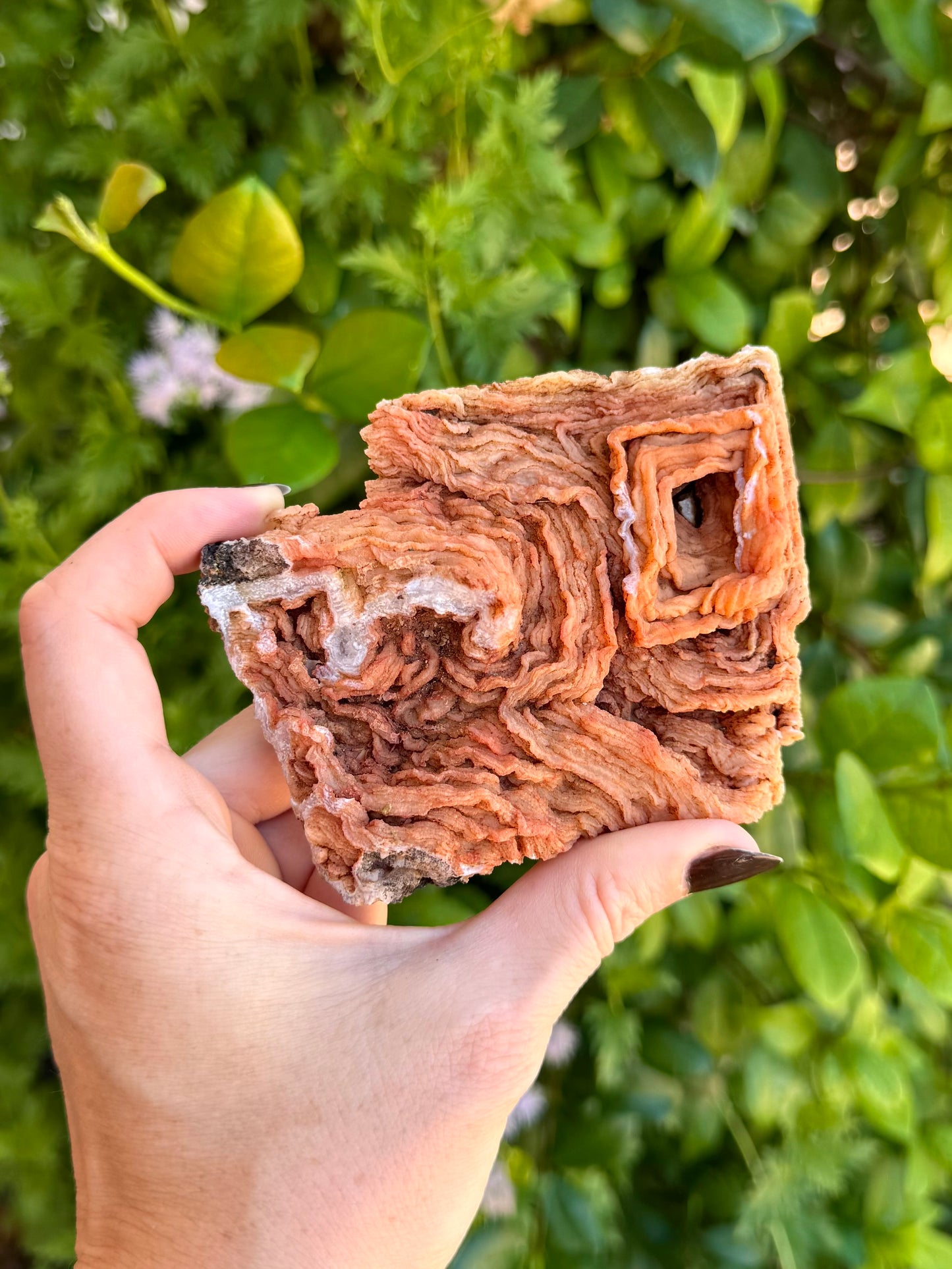 Front of mineral emphasizing the other end where there is a snaking wrinkly shape.