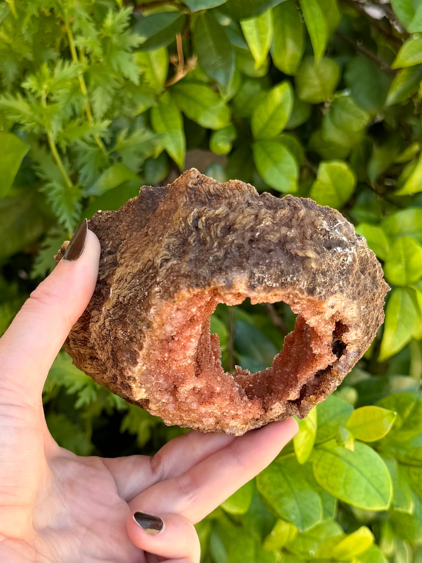 The underside of the geode, looking through the hole. The outside of the geode has a ropy brown texture.