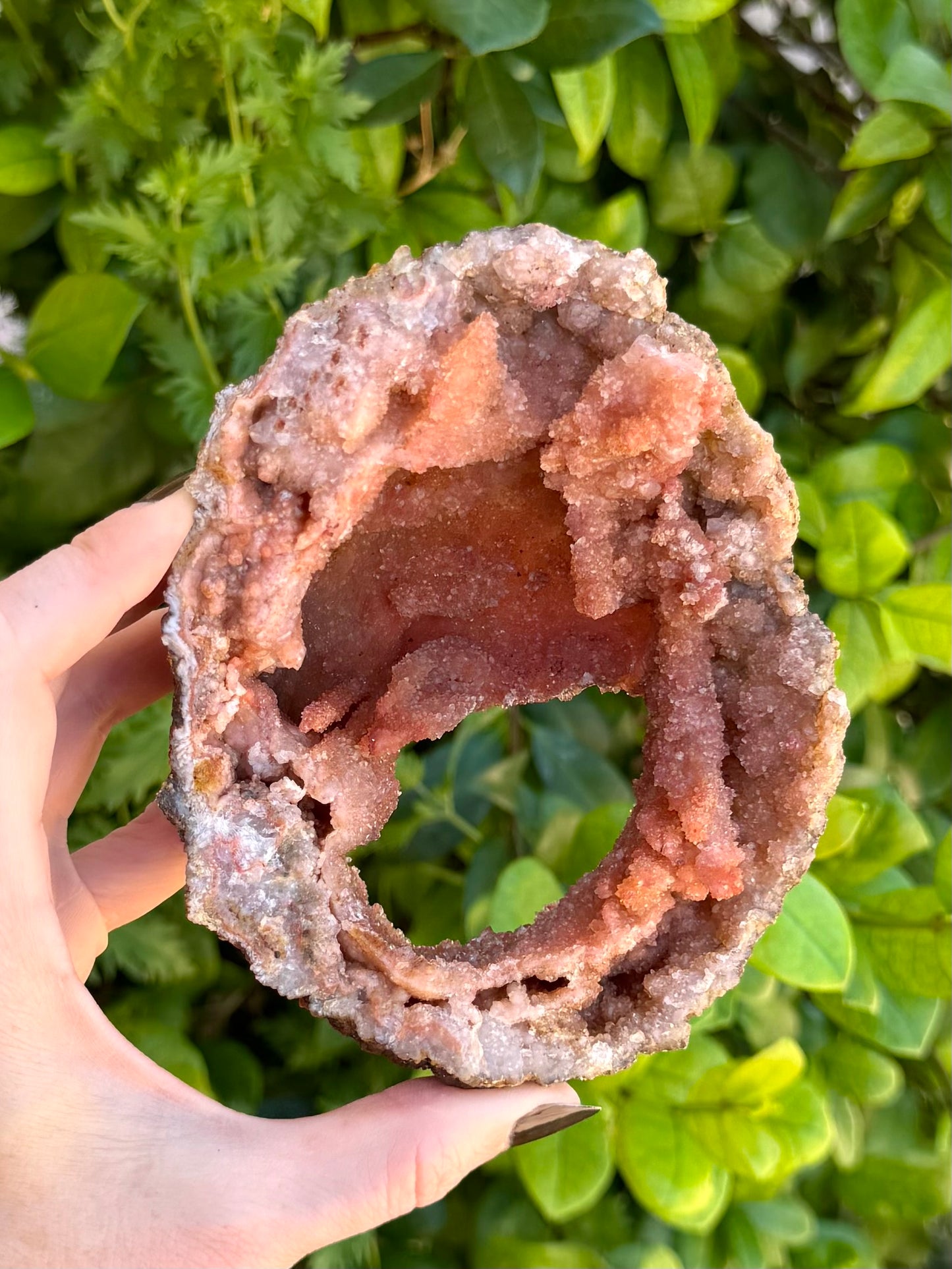 Full view inside the chalcedony geode, with a large hole through the bottom half. It is ringed with lumpy light orange-red growth, more white towards the edges.