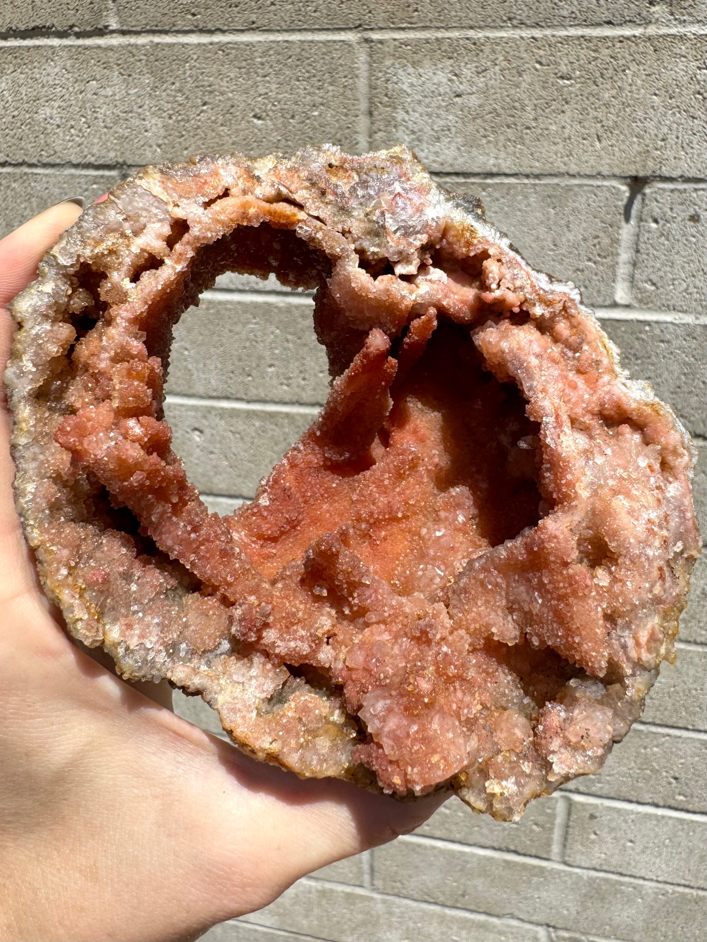 Looking into the geode in direct sunlight, highlighting the glitter of larger quartz crystals on the piece.