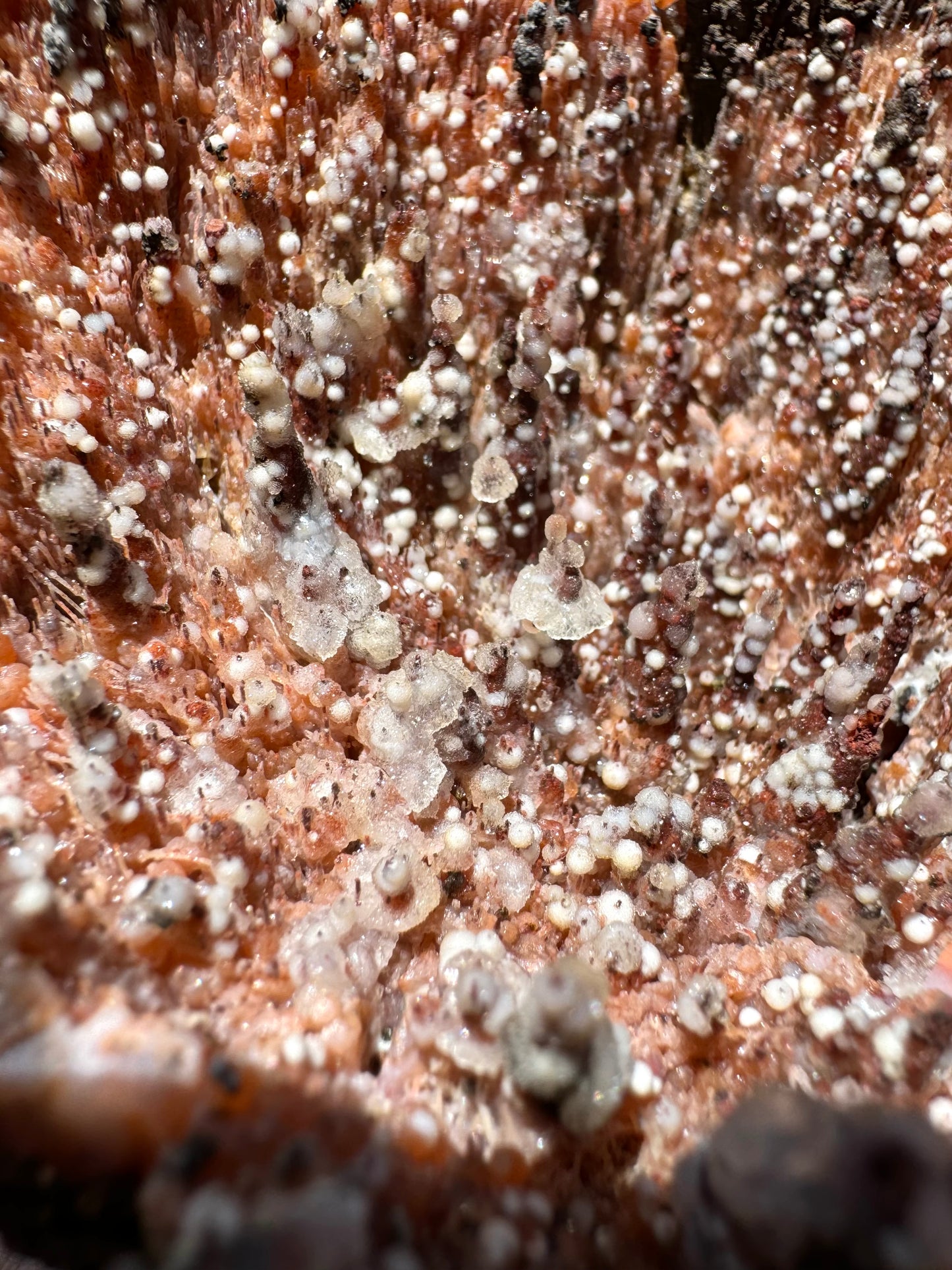 Angled view of cluster of spires with the colorless quartz rings around them. On the left side, there are a lot of fine orange needles mixed in among the spires.