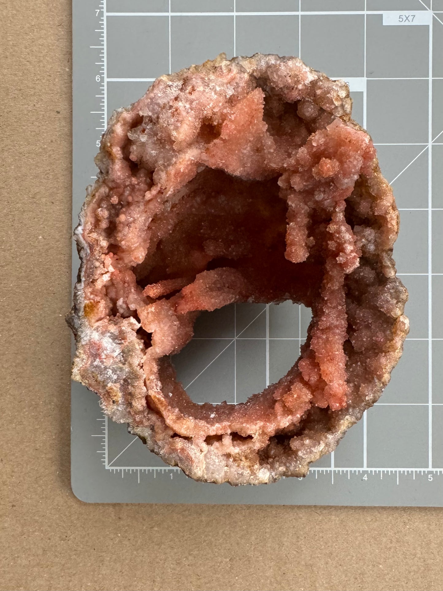 Scale image of the specimen on a measuring mat, measuring a bit over five inches long and about four inches across