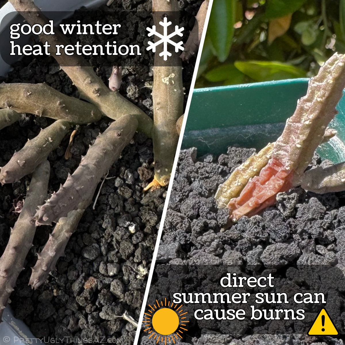 Diagram indicating the lava gravel provides good heat retention over winter, but can lead to plant burns if used in direct summer sun conditions