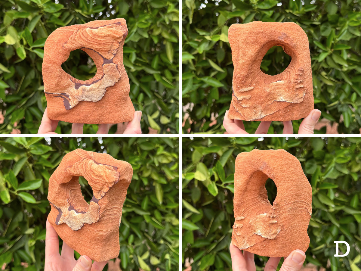 Option D, a blocky squared arc with protrusions and an irregular hole through the center. The piece has saturated even orange-red color, with good layering in patches across the middle and top. Dark iron banding rings patches of lighter sandstone on one side, and on the other side there are clusters of small flat lumps like fungus growing on a stump.