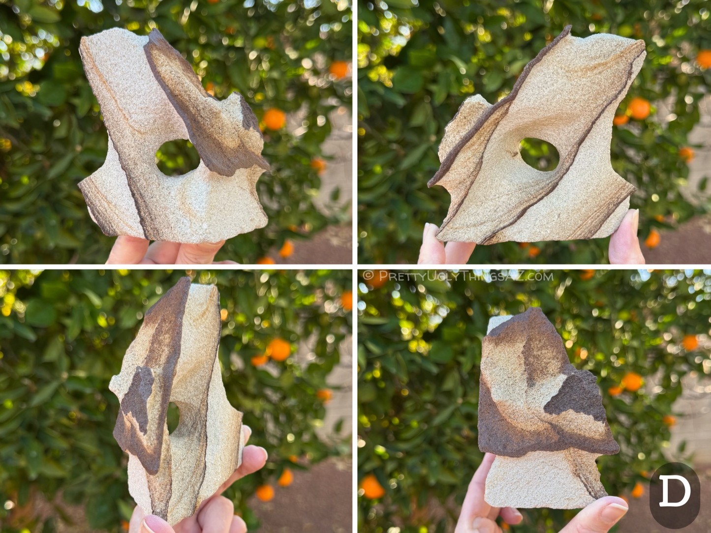 Four views of option D, a dramatic angular arch shaped like a wind-swept frozen wave, with a round hole through the center. The sandstone is light-colored with little layering, and some bold dark brown banding running diagonally through it, and protruding from the surface.
