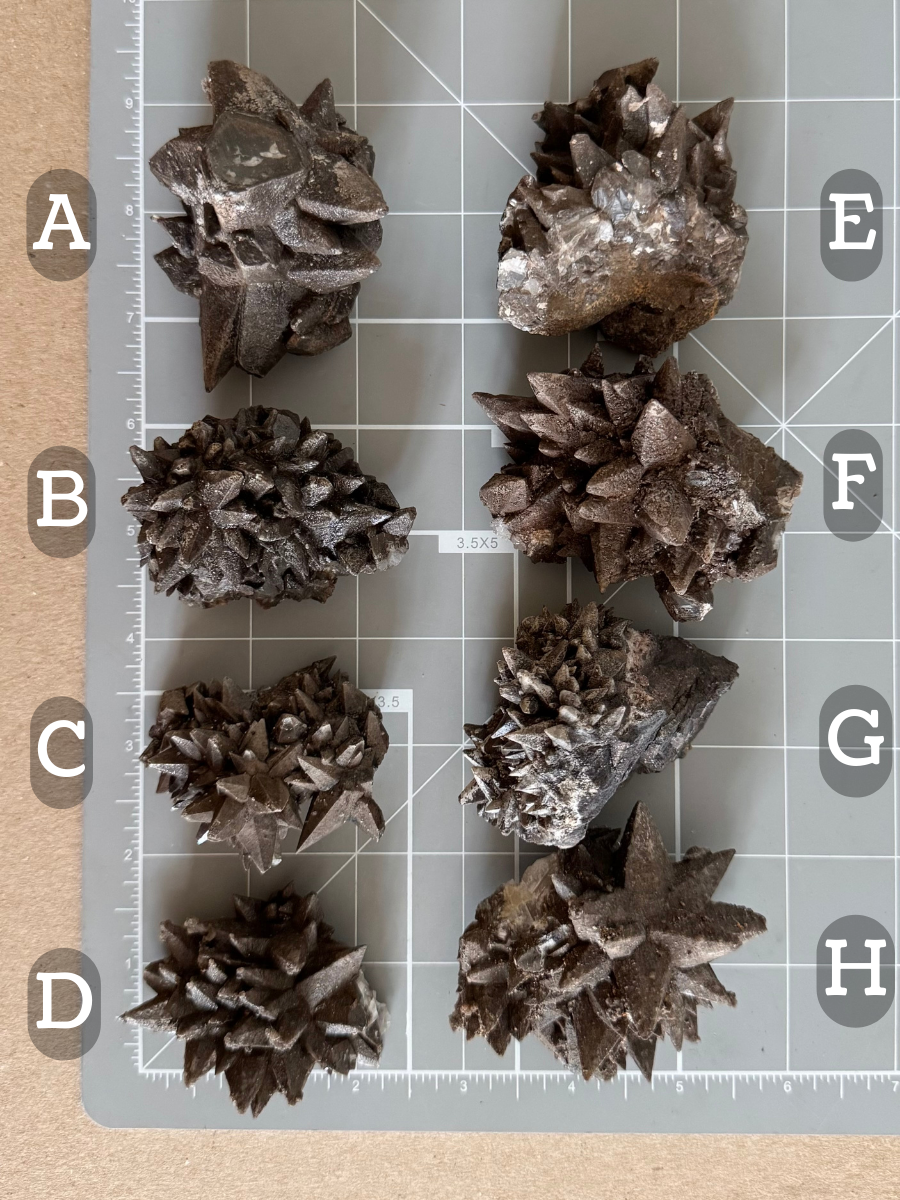 Scale image of options A through H arranged in two columns on a measuring mat. The specimens are irregular shapes but approximately the same size, with options B, C, and D a bit smaller than the est but with distinct form.