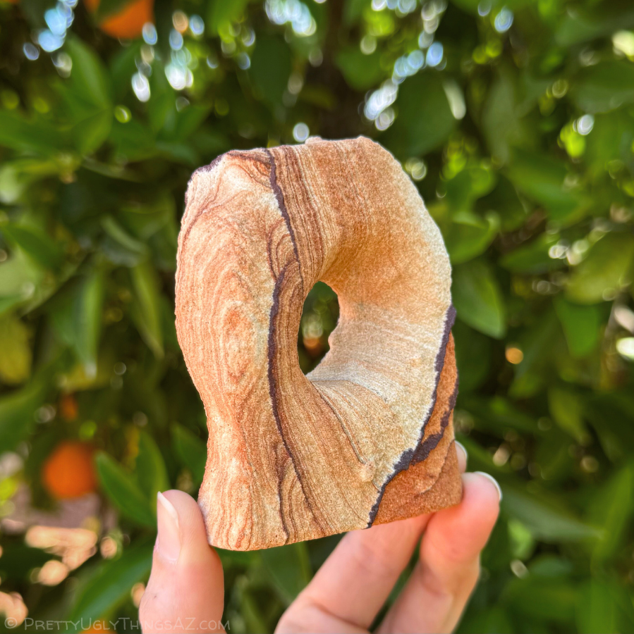 An example extra-small arch, held in a hand for scale, and with leaves in the background. There is a rounded hole through the center, and it is wide and narrow.
