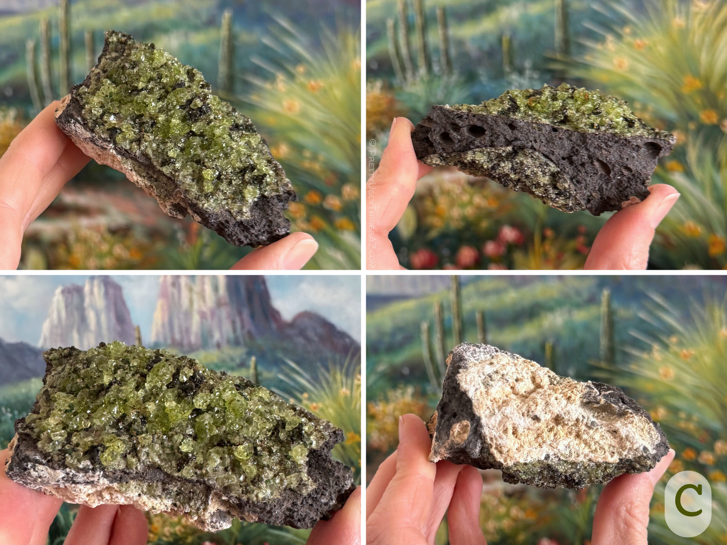 Option C, a long thin triangular piece of basalt, the top covered with a large pocket of gemmy peridotite, a good mix of yellow green and dark green. There is a darker, less saturated pocket of crystals on the other side. The base is covered with a thick off-white pumice layer.