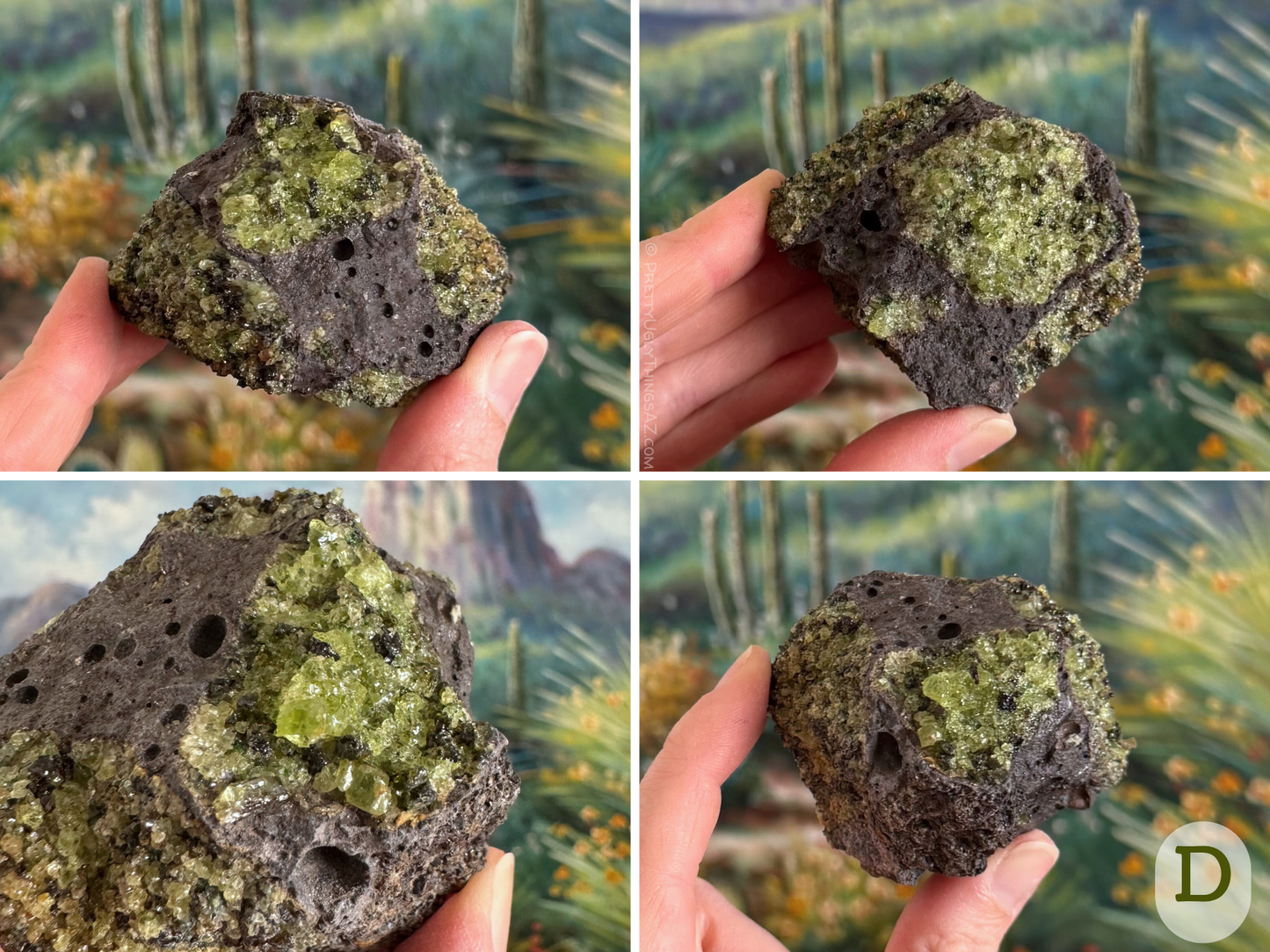 Option D, a small compact piece of basalt with very good coverage of small to medium peridotite pockets on all sides. The pockets range in quality but are mostly good, with a small pocket of extra gemmy material with large crystals.