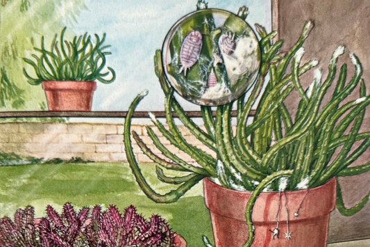 Detail of an illustrative print depicting a mealybug infestation on a stapelia