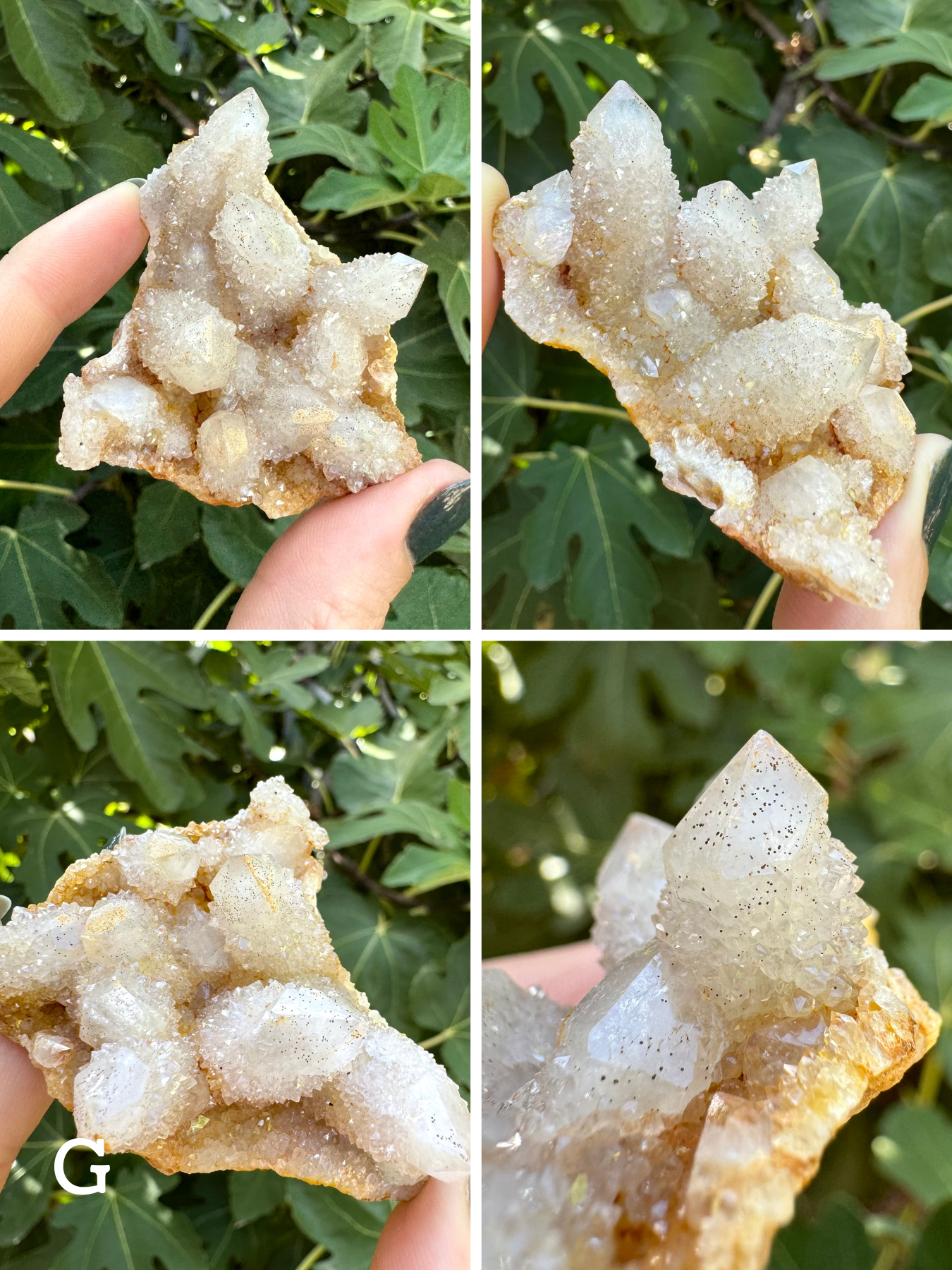 Option G, four images of a triangular cluster of cactus quartz, white quartz with some yellow staining of the base. The piece has black pepper inclusions all through it, which contrast with the fine white druzy layer