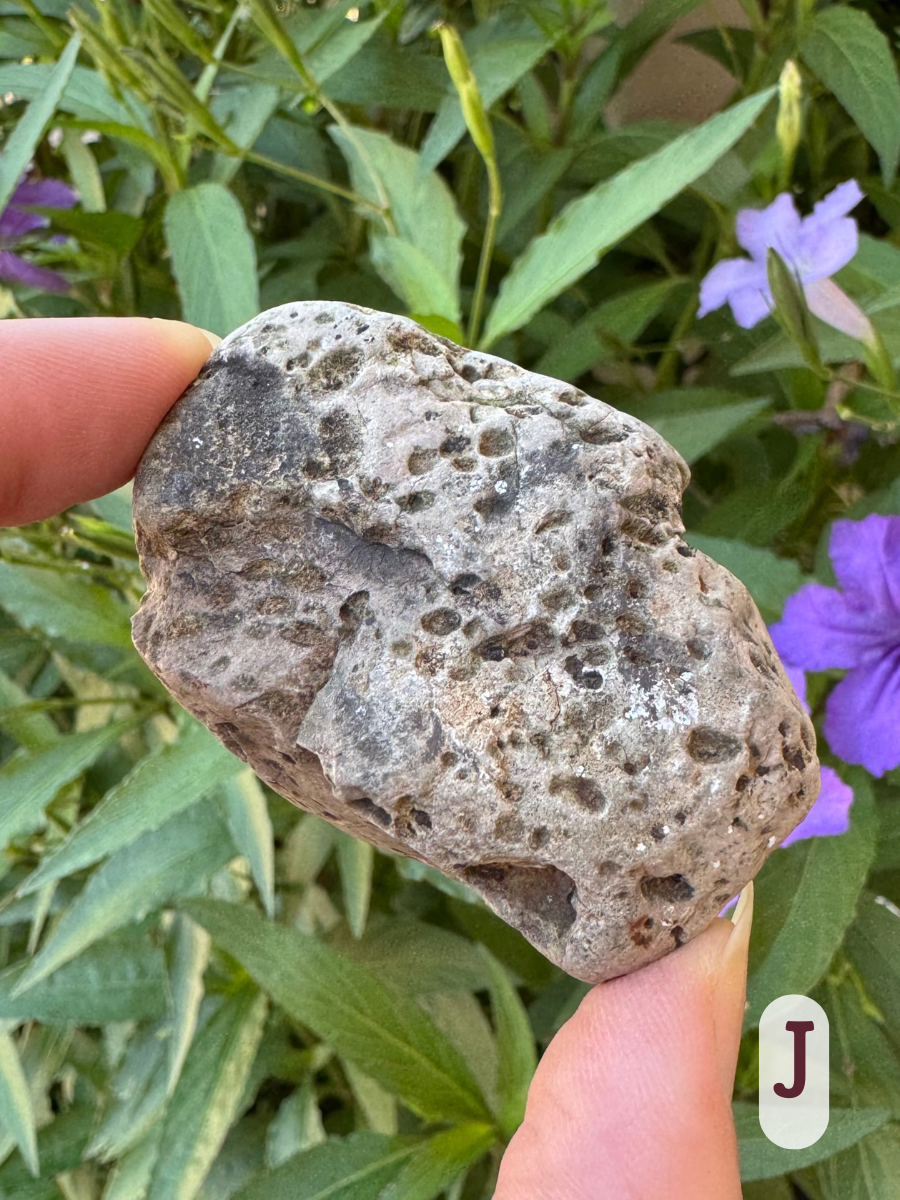 Option J, a gray rock covered in small cheese-holes that are slightly discolored