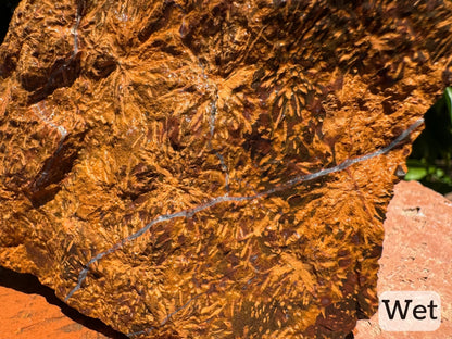 Captioned "wet," a detail view of the piece while wet, showing multiple white quartz veins through the starburst patterns