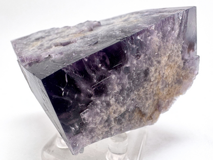 Detail view of a corner of the specimen, the interior inky dark. A band of concentrated purple color zoning near the surface. Square faces are arranged in a stepped pattern across the surface.