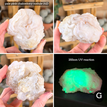 Southwestern minerals mystery box