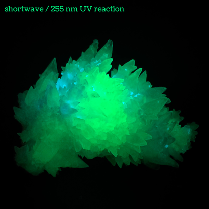 Aragonite stalactite "cave calcite," Santa Eulalia (medium)