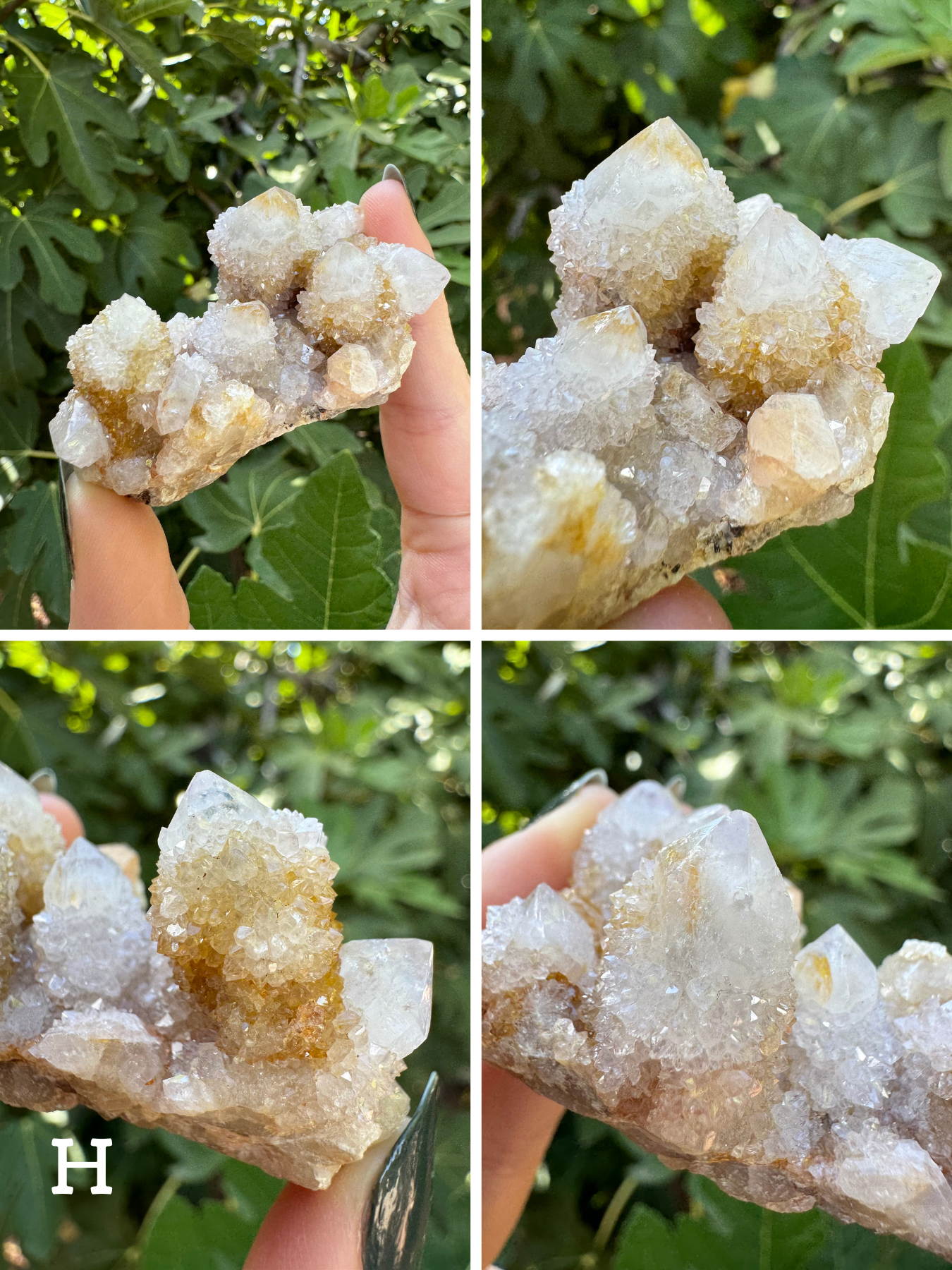 Option H, four images of a rectangular cluster of cactus quartz, with short crystals. The quartz is white with some yellow staining on one end. Druzy is well-formed and glittery