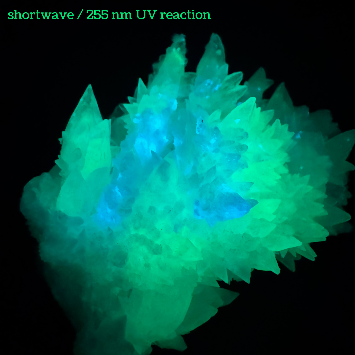 Aragonite stalactite "cave calcite," Santa Eulalia (medium)