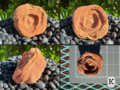 Option K, four views of a round red-toned pseudo stromatolite with good concentric layering. At the center is a cloverleaf pattern, which gradually became rounder as more layers grew. Picture four is the piece measuring just over two inches on a measuring mat