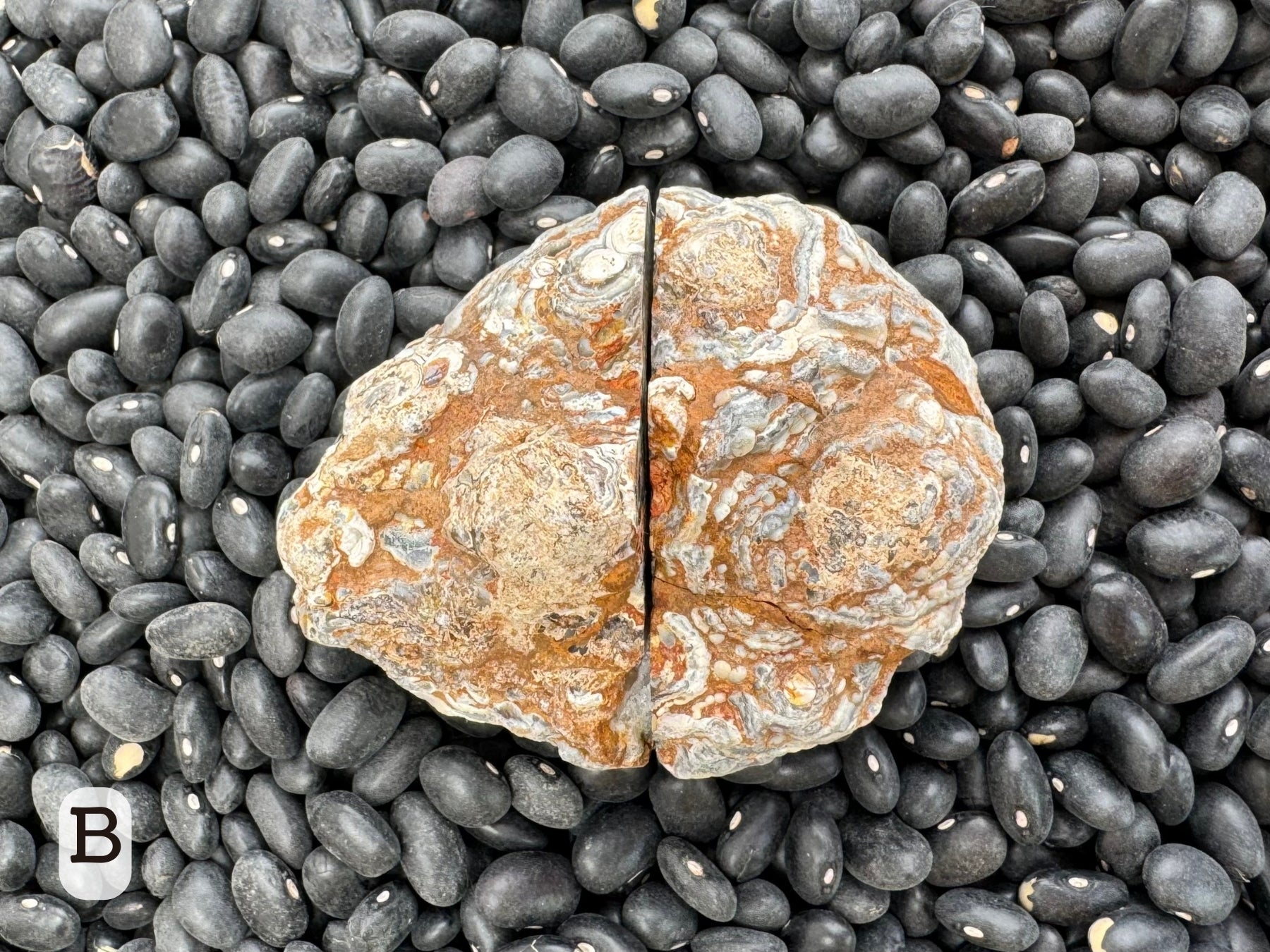 Option B: the geode with halves placed together closed, displaying the circular ropy patterns of the exterior in gray and orange-brown.