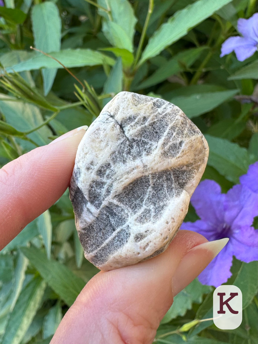 Option K, a sandy-textured gray rock filled with white veining of a harder material. The gray rock has eroded away leaving ridges of the white