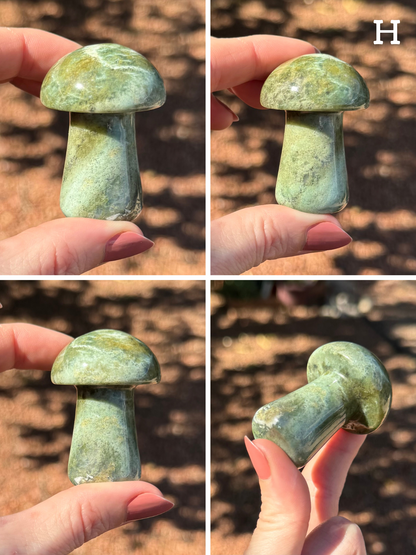 Option H, four views of a vibrant light blue-green and yellow-green mushroom, with a circular white vein on the cap