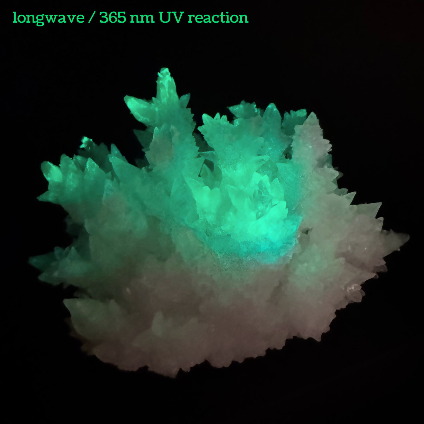 Aragonite stalactite "cave calcite," Santa Eulalia (cabinet piece)