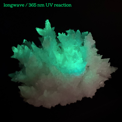 Aragonite stalactite "cave calcite," Santa Eulalia (cabinet piece)