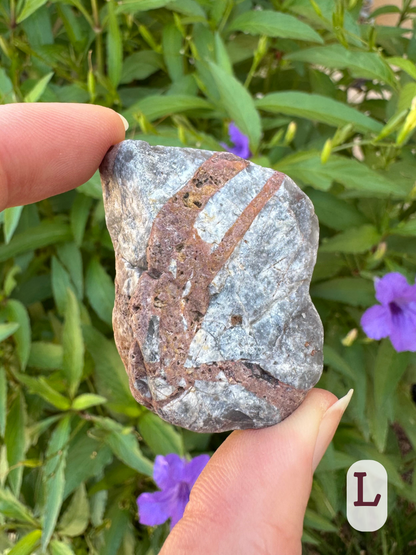 Option L, a rectangular dark grey rock with thick rust-colored veins through it