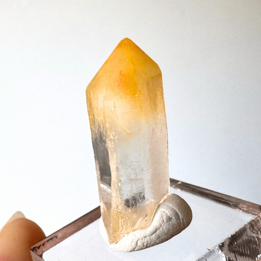 An example crystal point of mango quartz, the tip filled with fine yellow-orange fibers, some reflecting light. The base of the quartz crystal if colorless with good transparency.