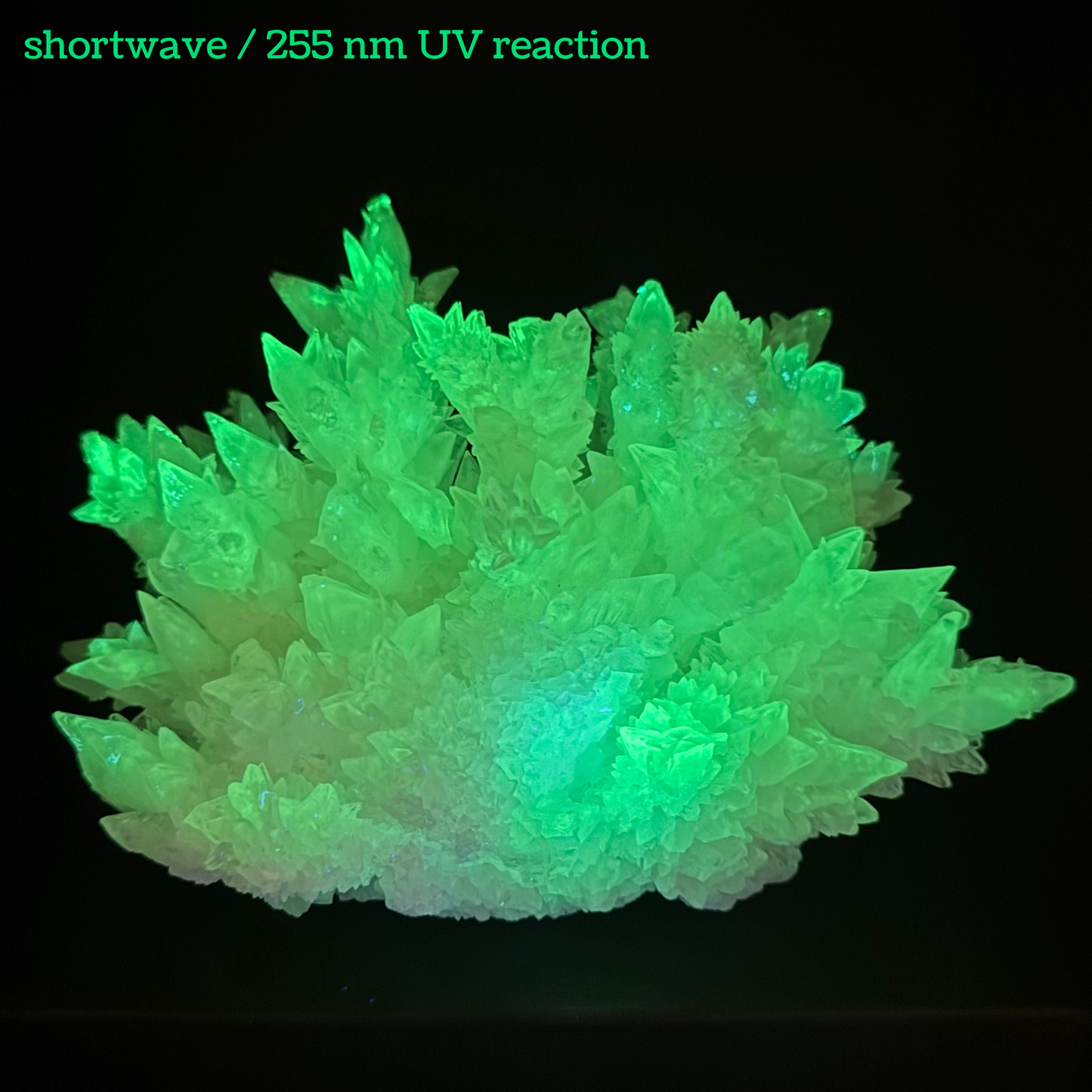 Aragonite stalactite "cave calcite," Santa Eulalia (cabinet piece)