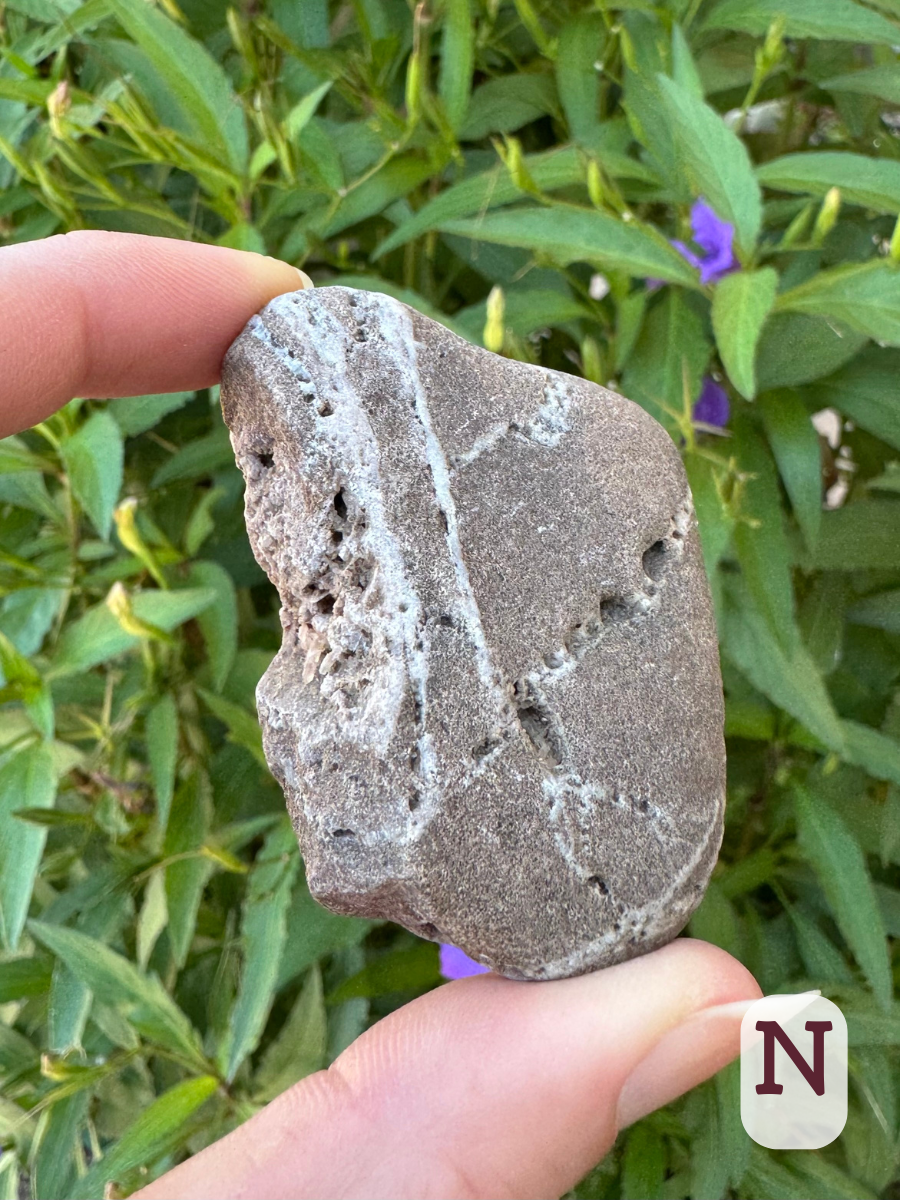 Option N, a rectangular gray rock criss-crossed with white veins of a softer material, holes have eroded out of it in places