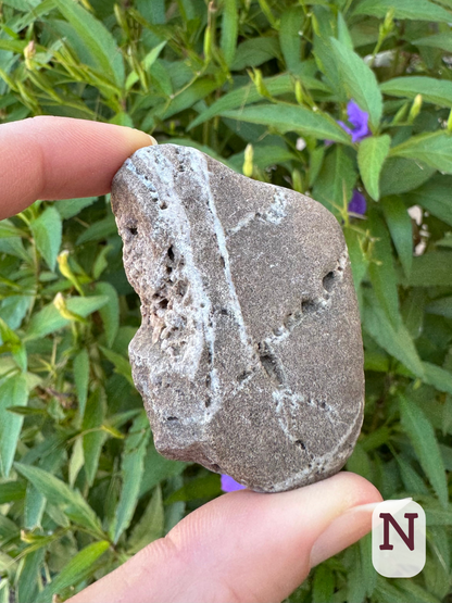 Option N, a rectangular gray rock criss-crossed with white veins of a softer material, holes have eroded out of it in places