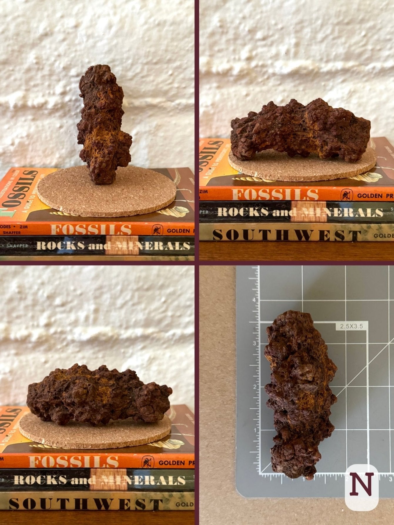 Option N, four views of an irregular sausage-shaped coprolite with rough surface texture. It is red-brown and orange-tinted in color. The final image shows the piece on a measuring mat, measuring almost three and a half inches.