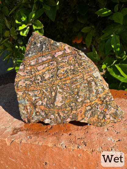 Captioned "wet," a side of the piece while wet with almost all-yellow veining lines with grey, and lightly red-tinted background. Vibrant color, detail of the radial pattern of the spherulites composing the lines is visible