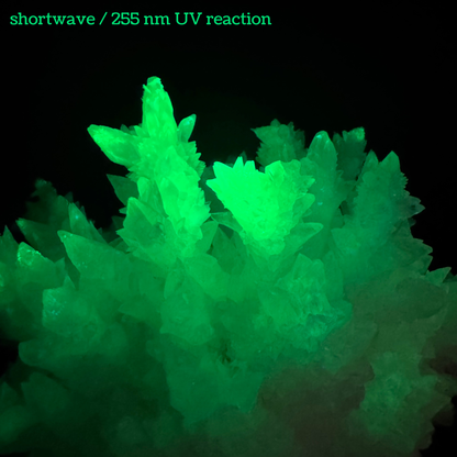 Aragonite stalactite "cave calcite," Santa Eulalia (cabinet piece)