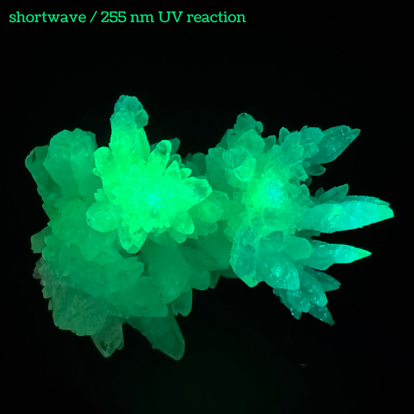 Aragonite stalactite "cave calcite," Santa Eulalia (medium)