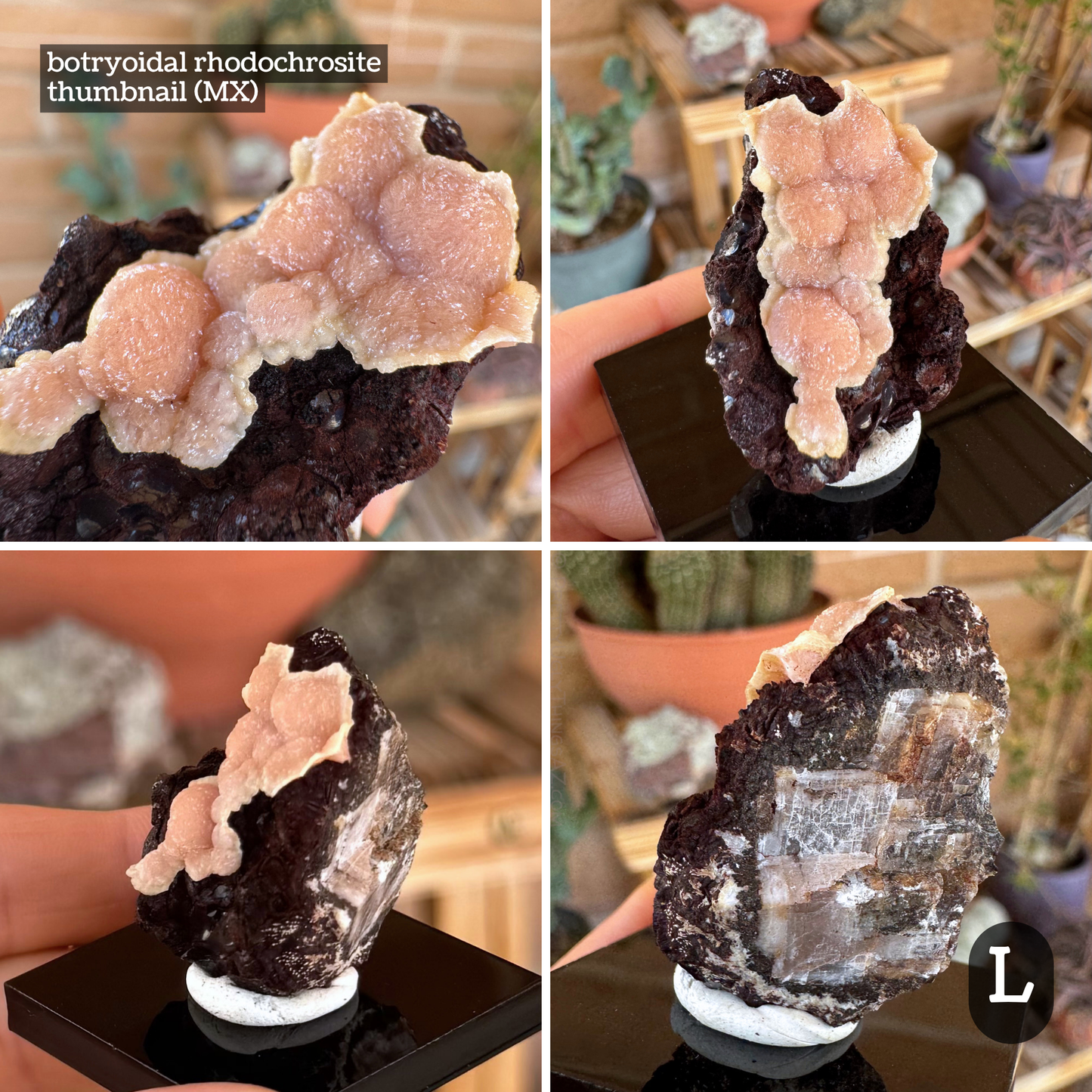 Southwestern minerals mystery box