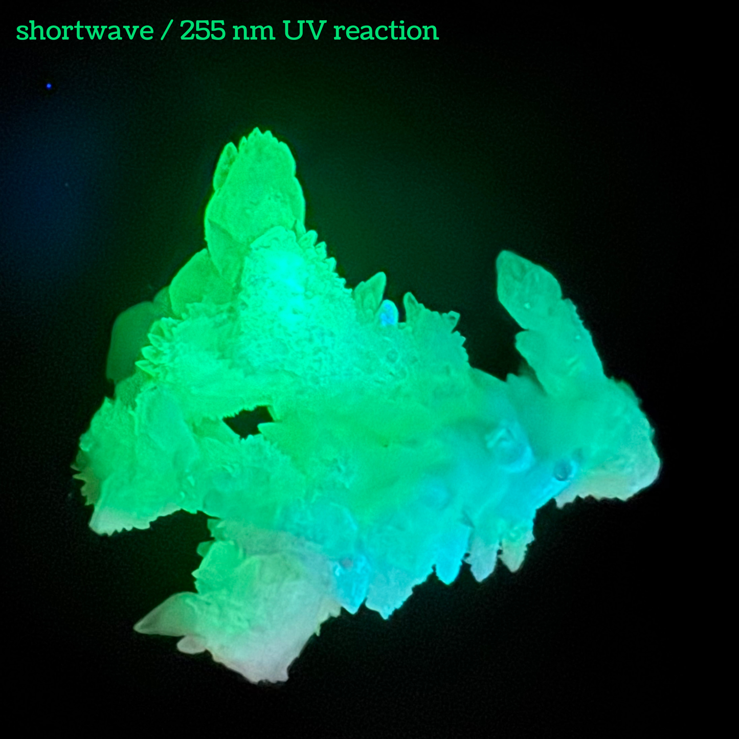 Aragonite stalactite "cave calcite," Santa Eulalia (medium)