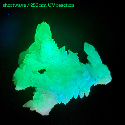 Aragonite stalactite "cave calcite," Santa Eulalia (medium)