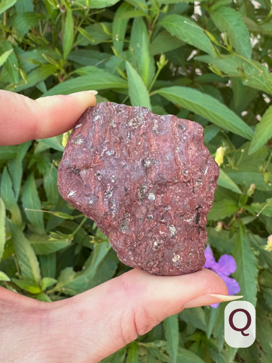 Option Q, an irregularly-shaped piece of deep maroon-red rock. It's a jasper-like material, with gray and lighter red spots through it