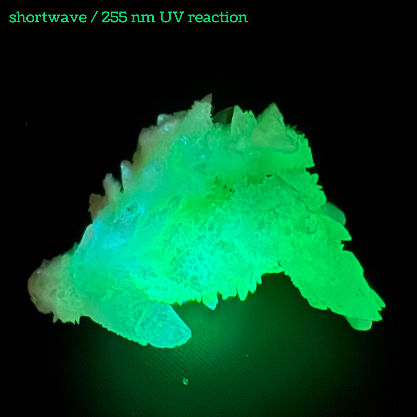 Aragonite stalactite "cave calcite," Santa Eulalia (medium)